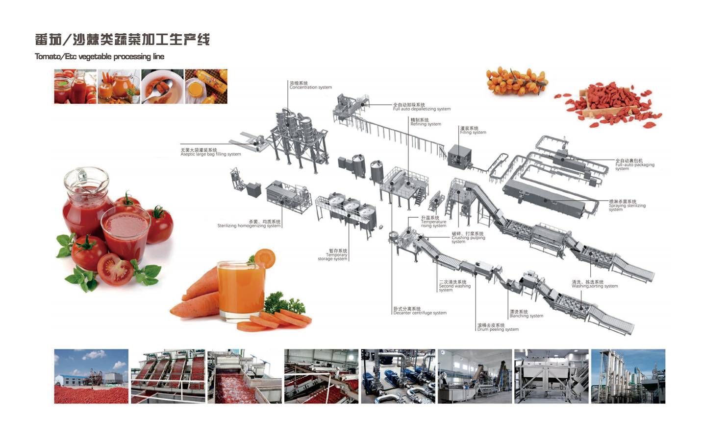 番茄、沙棘类蔬菜加工生产线