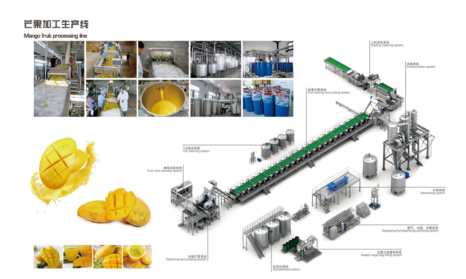 芒果加工生产线