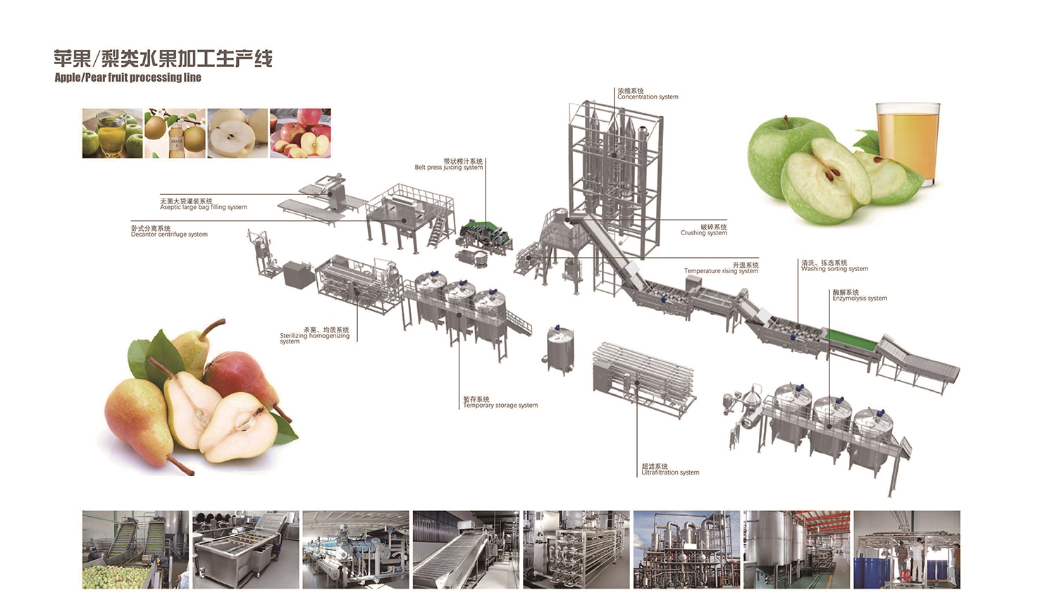 苹果、梨类水果加工生产线