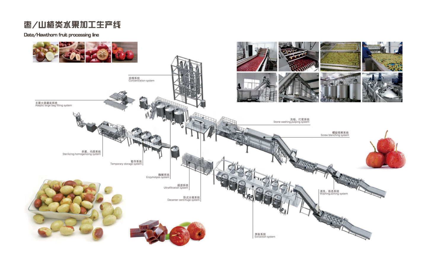 枣、山楂类水果加工生产线