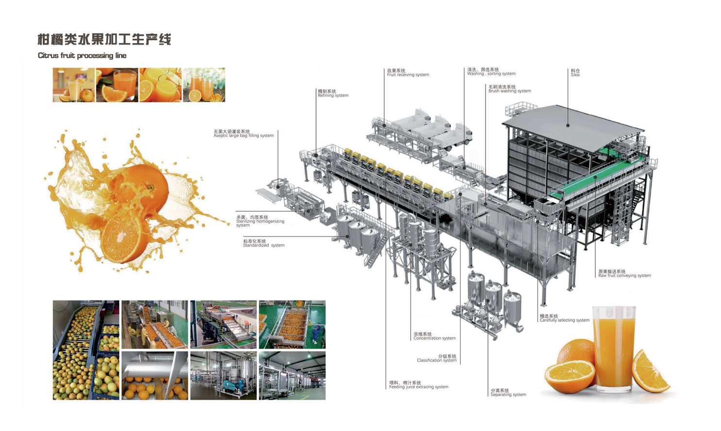 柑橘类水果加工生产线